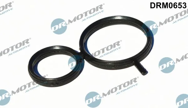 Vedação, ajuste do eixo de comando Dr.Motor Automotive DRM0653