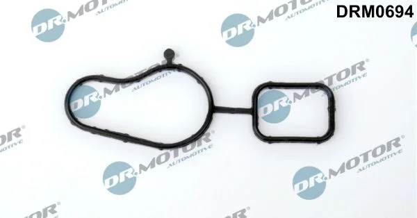 Junta, bomba de água Dr.Motor Automotive DRM0694