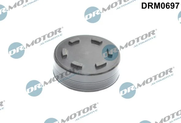 Tampa de Bloqueio, comando de válvulas Dr.Motor Automotive DRM0697