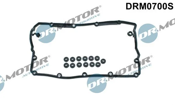 Conjunto de Juntas, tampa da cabeça do cilindro Dr.Motor Automotive DRM0700S
