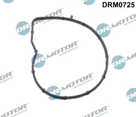 Junta, bomba de água Dr.Motor Automotive DRM0725