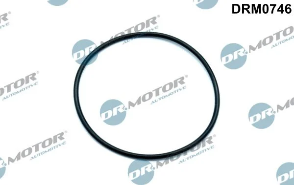 Junta, bomba de vácuo Dr.Motor Automotive DRM0746
