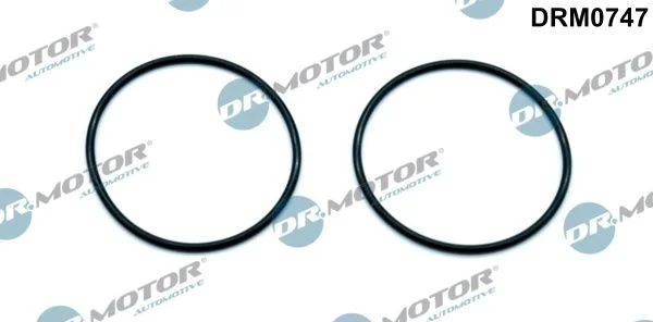 Junta, bomba de vácuo Dr.Motor Automotive DRM0747