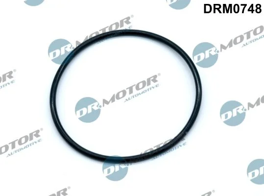 Junta, bomba de vácuo Dr.Motor Automotive DRM0748