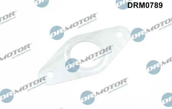 Gasket, EGR valve pipe Dr.Motor Automotive DRM0789