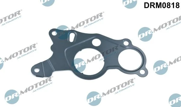 Junta, bomba de vácuo Dr.Motor Automotive DRM0818