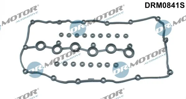 Conjunto de Juntas, tampa da cabeça do cilindro Dr.Motor Automotive DRM0841S