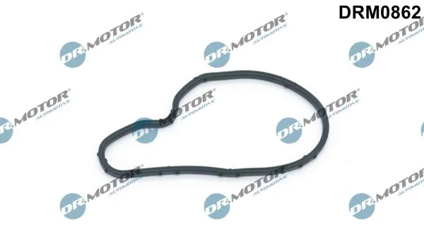 Junta, bomba de vácuo Dr.Motor Automotive DRM0862