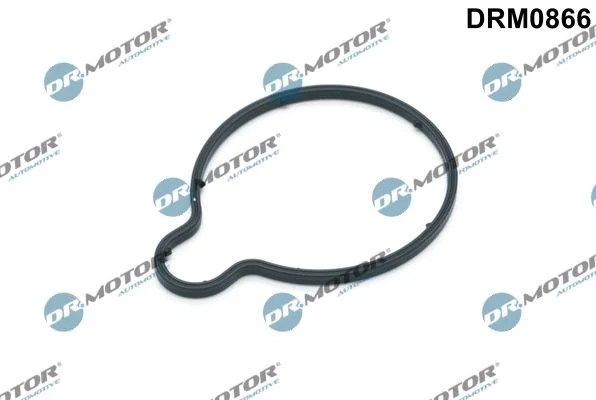 Junta, bomba de vácuo Dr.Motor Automotive DRM0866