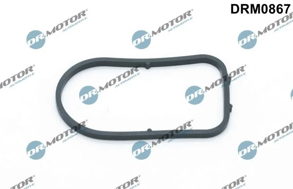 Junta, bomba de vácuo Dr.Motor Automotive DRM0867