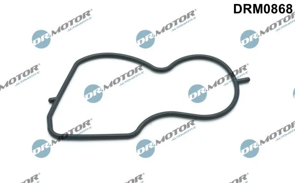 Junta, bomba de vácuo Dr.Motor Automotive DRM0868