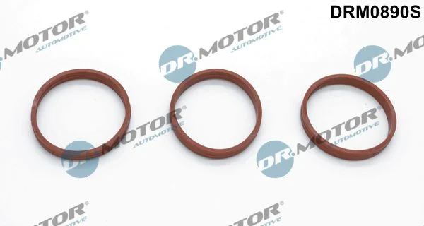 Conjunto de Juntas, coletor de admissão Dr.Motor Automotive DRM0890S