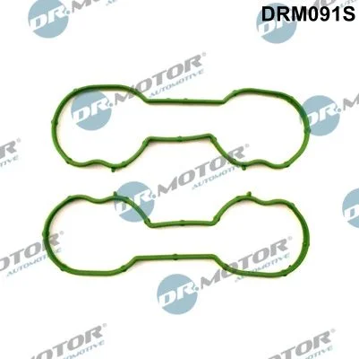 Conjunto de Juntas, coletor de admissão Dr.Motor Automotive DRM091S