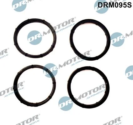 Conjunto de Juntas, coletor de admissão Dr.Motor Automotive DRM095S