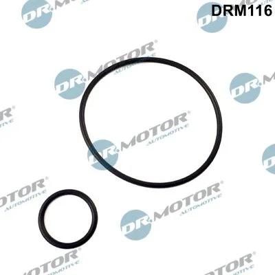 Conjunto de Vedação, bomba de vácuo Dr.Motor Automotive DRM116