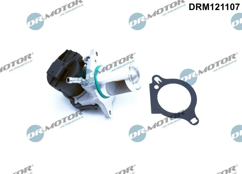 EGR Valve Dr.Motor Automotive DRM121107