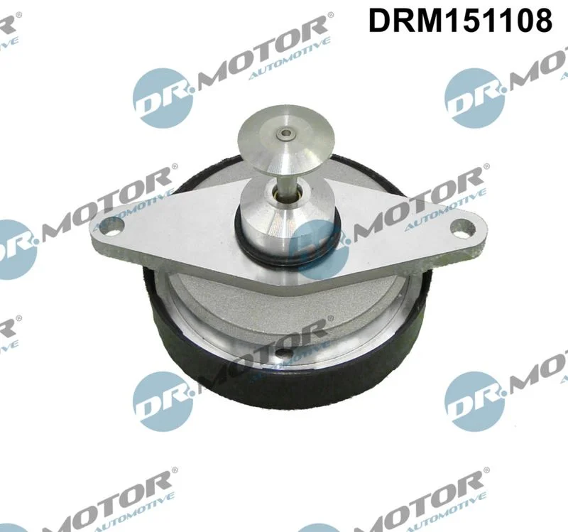 EGR Valve Dr.Motor Automotive DRM151108