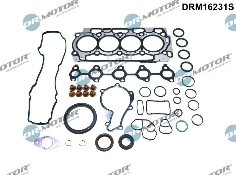 Conjunto completo de juntas, motor Dr.Motor Automotive DRM16231S