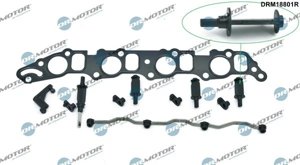 Repair Kit, intake manifold module Dr.Motor Automotive DRM18801R