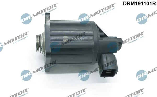 Válvula EGR Dr.Motor Automotive DRM191101R