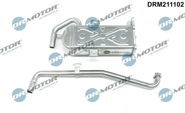 Resfriador, recirculação dos gases de escape Dr.Motor Automotive DRM211102