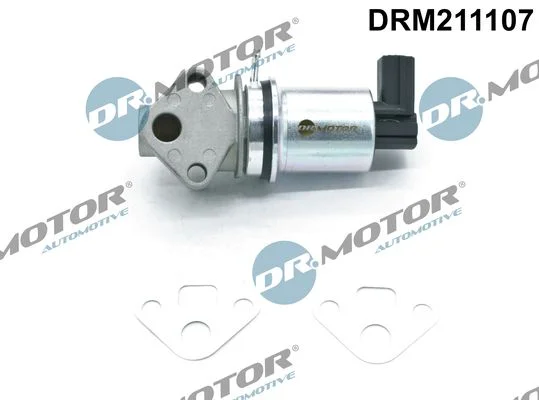 EGR Valve Dr.Motor Automotive DRM211107