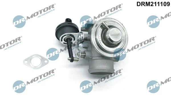 EGR Valve Dr.Motor Automotive DRM211109