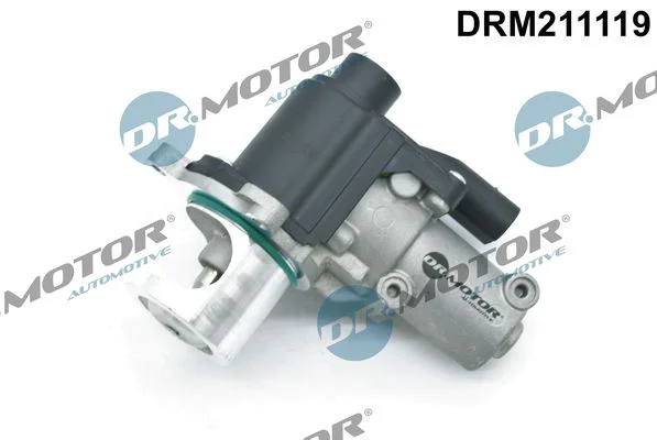 Válvula EGR Dr.Motor Automotive DRM211119