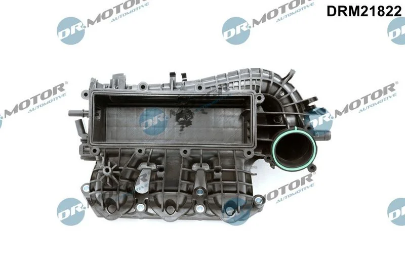 Módulo do coletor de admissão Dr.Motor Automotive DRM21822