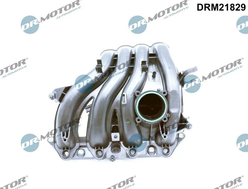 Módulo do coletor de admissão Dr.Motor Automotive DRM21829
