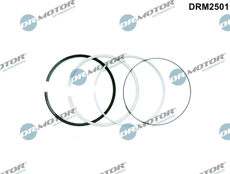 Kit de anéis do pistão Dr.Motor Automotive DRM2501