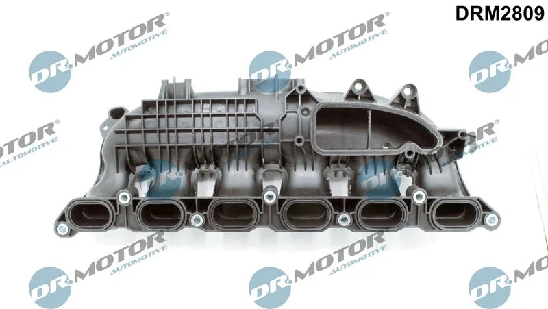 Módulo do coletor de admissão Dr.Motor Automotive DRM2809