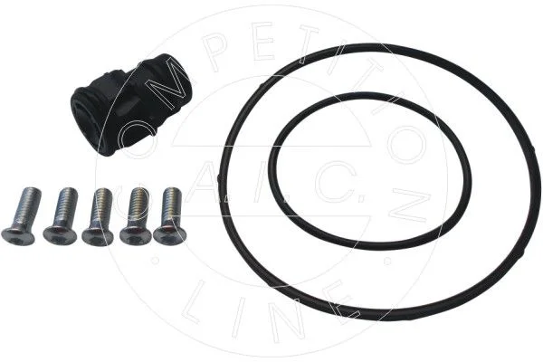 Conjunto de Reparo, bomba de vácuo (sistema de frenagem) AIC 56249