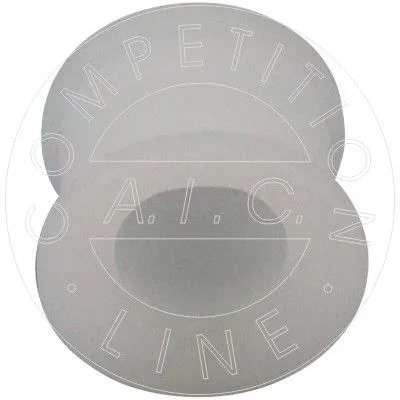 Bushing, selector/shift rod AIC 57468
