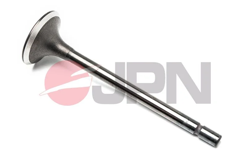 Intake Valve JPN 70M0510-JPN
