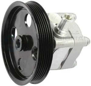 Hydraulic Pump, steering Professional Parts 61435861