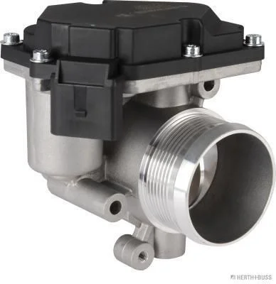 Throttle Body 70650021