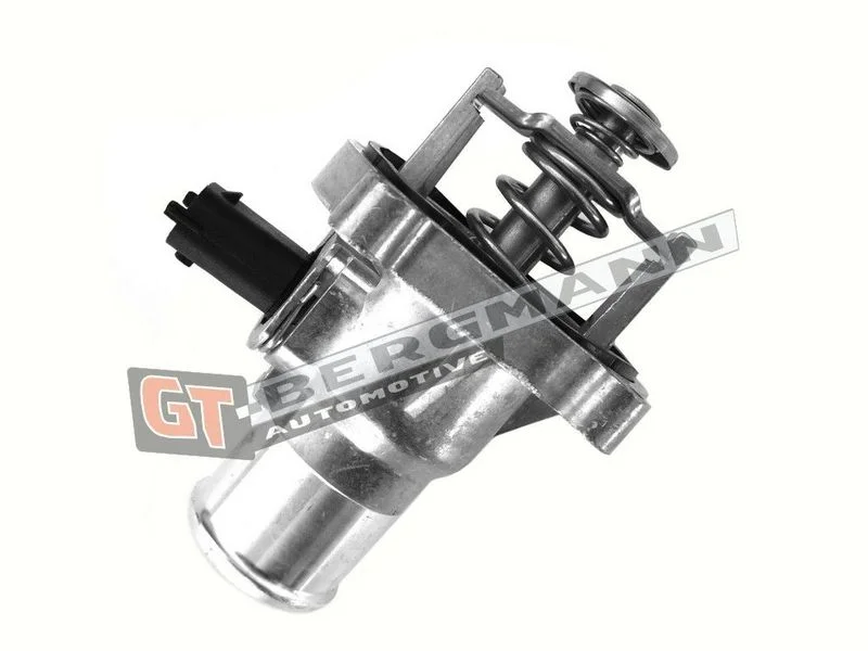 Termostatas, aušinimo skystis GT-BERGMANN GT17-027