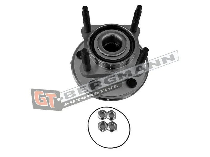 Rato guolio komplektas gt-bergmann automotive GT24-138