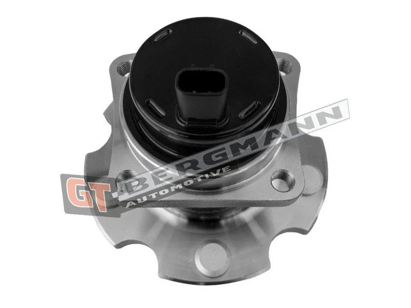 Rato guolio komplektas gt-bergmann automotive GT24-153