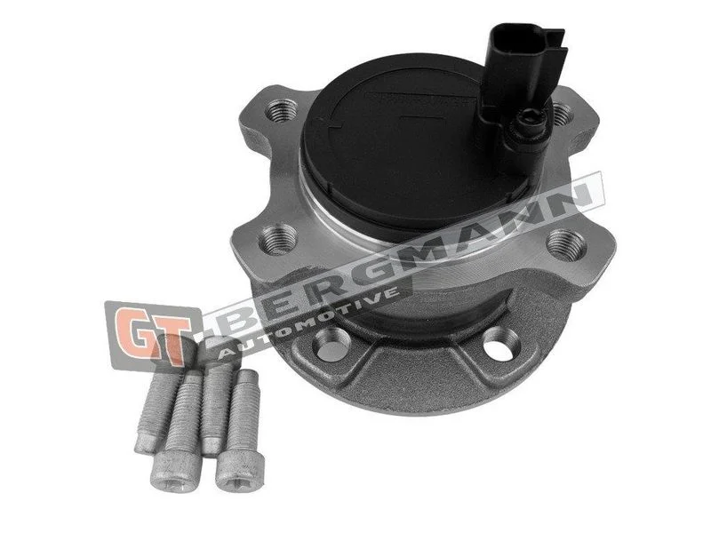 Rato guolio komplektas gt-bergmann automotive GT24-157