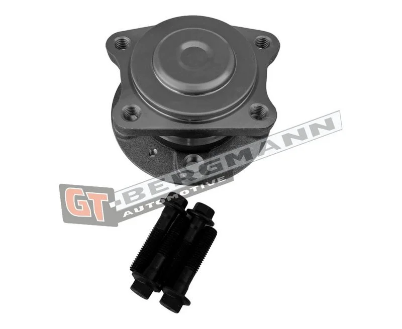 Rato guolio komplektas gt-bergmann automotive GT24-159