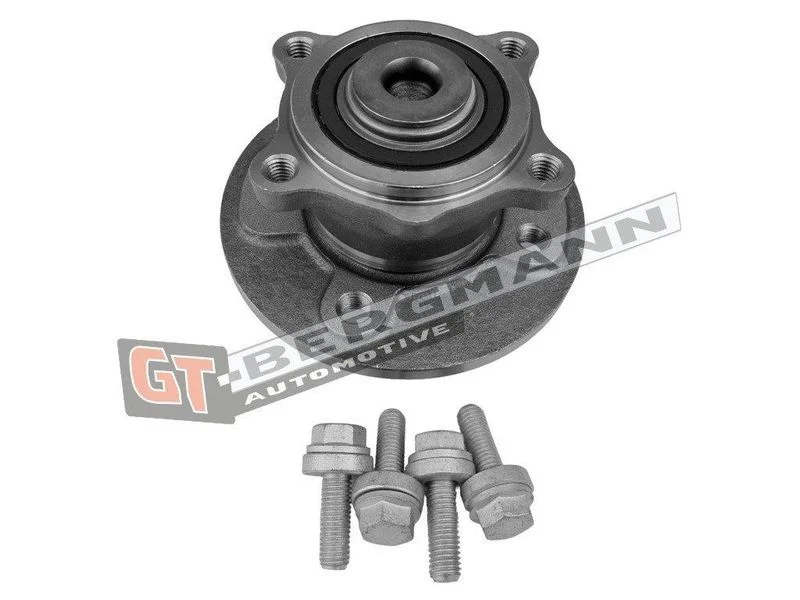 Rato guolio komplektas gt-bergmann automotive GT24-164