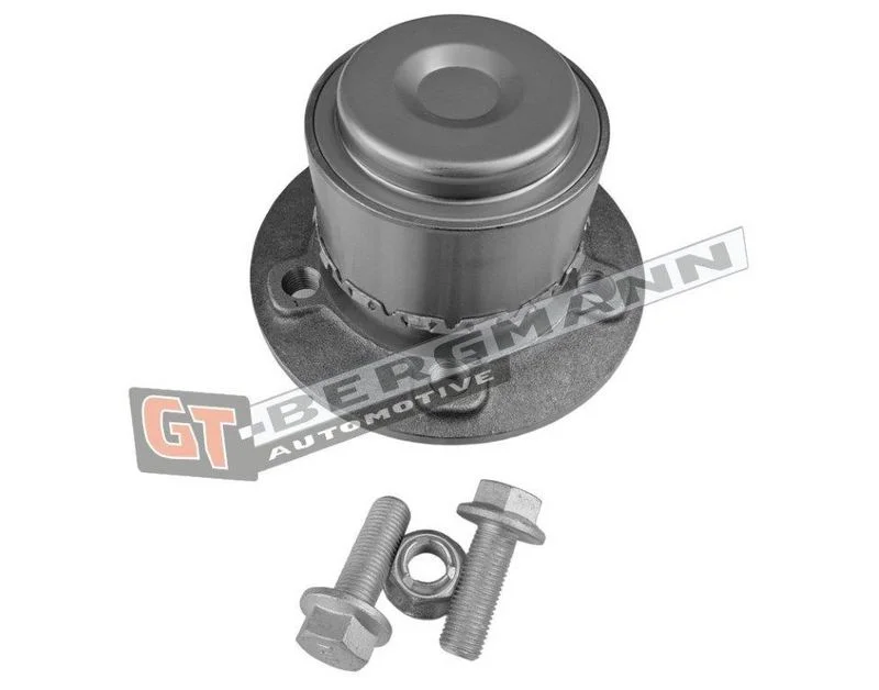 Rato guolio komplektas gt-bergmann automotive GT24-169