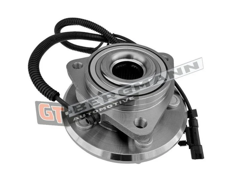Rato guolio komplektas gt-bergmann automotive GT24-207