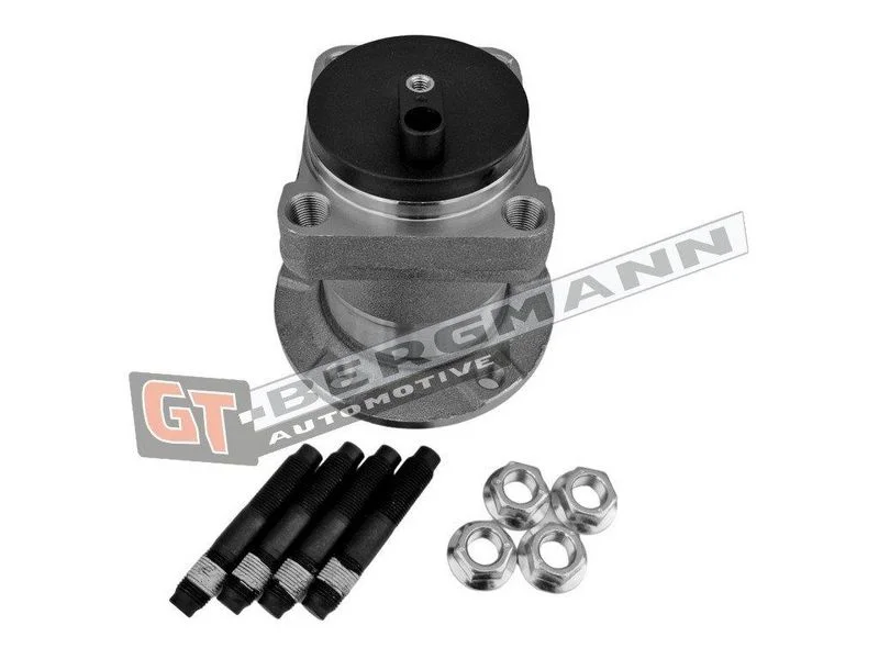 Rato guolio komplektas gt-bergmann automotive GT24-209