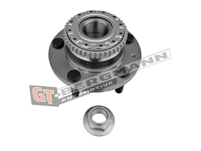 Rato guolio komplektas gt-bergmann automotive GT24-216