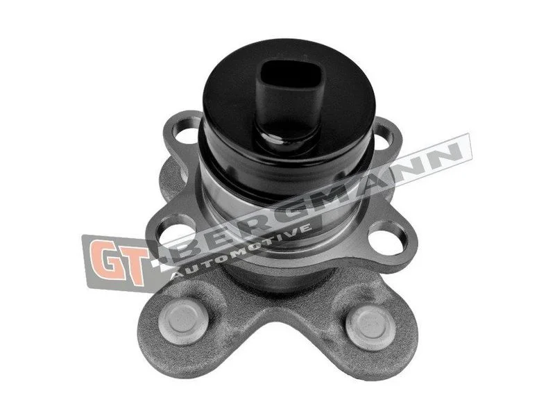 Rato guolio komplektas gt-bergmann automotive GT24-220
