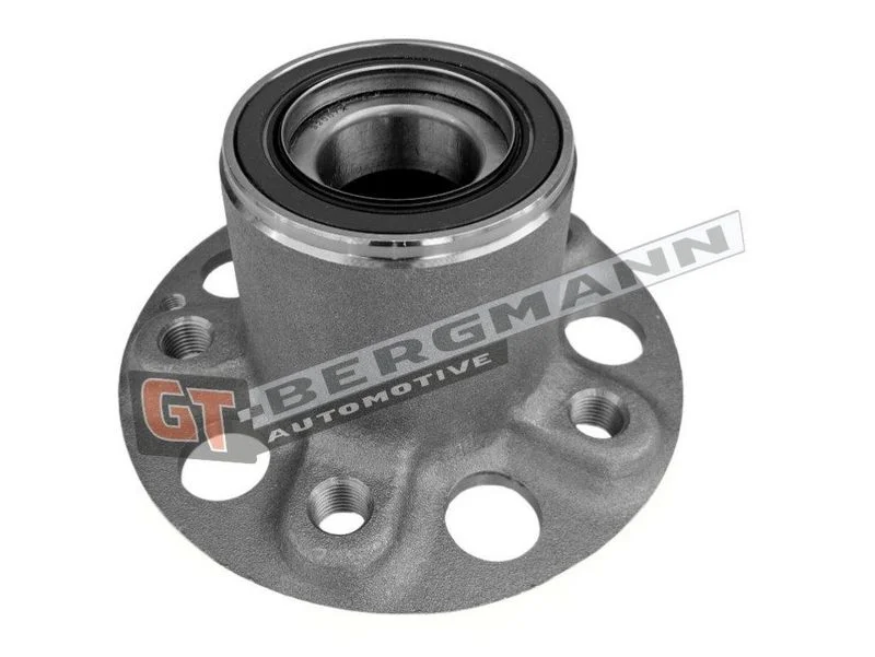 Rato guolio komplektas gt-bergmann automotive GT24-225