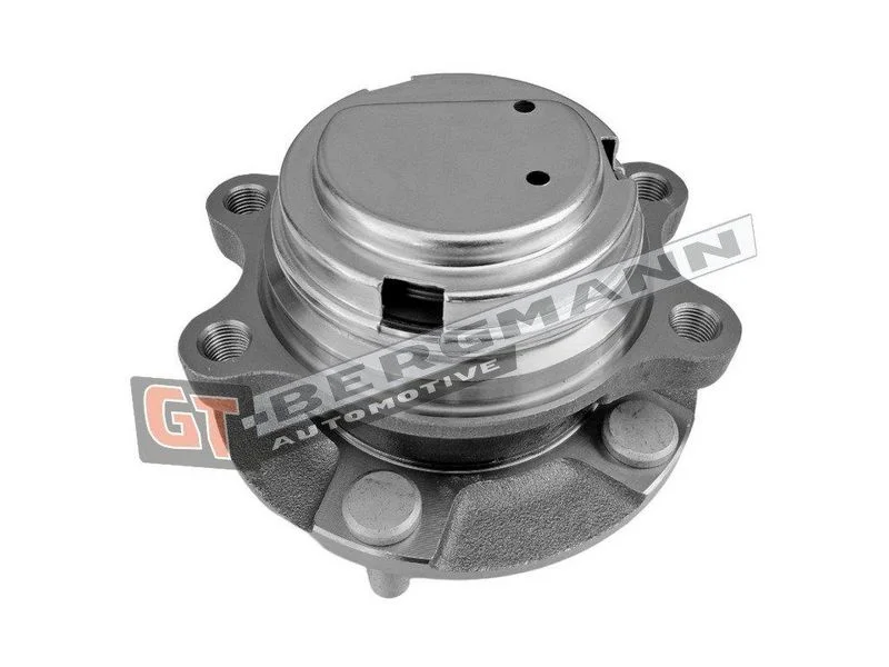 Rato guolio komplektas gt-bergmann automotive GT24-227